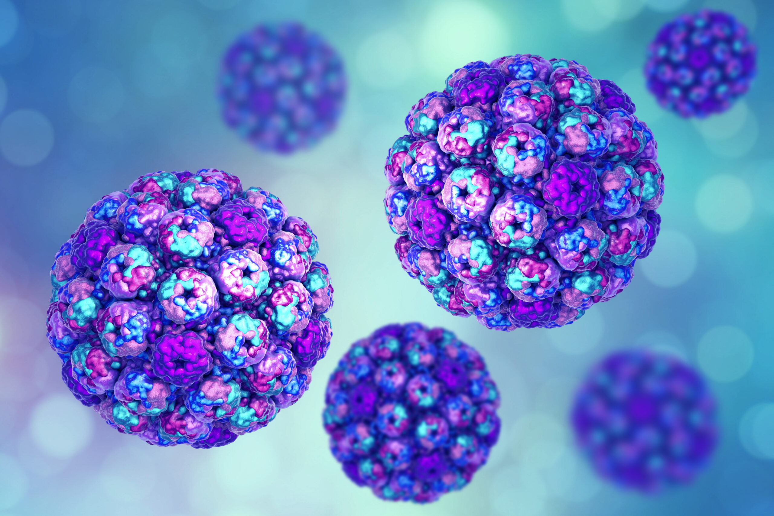 image of Virus like particle, polyomavirus