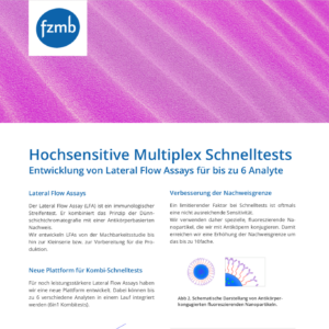 Screenshot PDF 4in1/6in1 Komi-Schnelltest: Auftragsentwicklung am fzmb